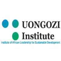UongoziInstitute Job Vacancy at UONGOZI Institute - Research and Policy Specialist