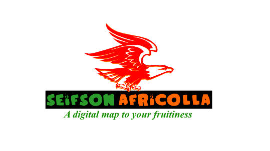 Sales And Marketing Officer Job at SEiFSON AFRiCOLLA 1 Job at SEiFSON AFRiCOLLA
