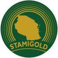 Senior Internal Auditor Job at STAMIGOLD 1 Job Opportunity at STAMIGOLD Supplies Technician
