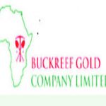 Senior Procurement Officer Job at Buckreef Gold Mining 2021
