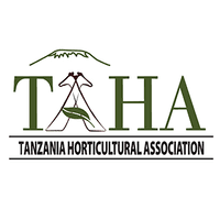 Communications Lead Job Opportunity at TAHA 1 Job Opportunity at TAHA, Communications Lead