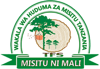 Assistant Forest Officer II New Jobs at Tanzania Forest Services (TFS) Agency