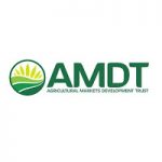 New Consultancy Opportunity at AMDT