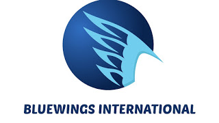 Marketing officer Job at BlueWings International 1 Job Opportunity at BlueWings International, Marketing officer