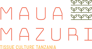 Job Opportunity at Maua Mazuri, Financial Controller