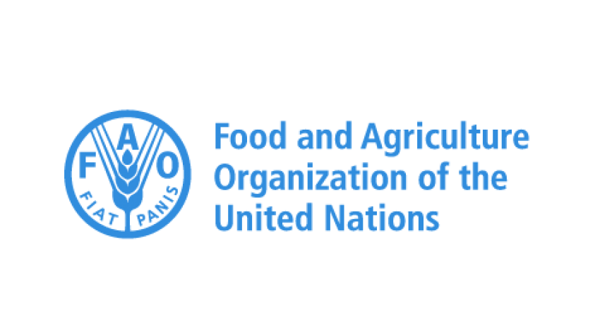 National Project Personnel Food Safety Job Opportunity at FAO