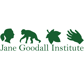 Deputy Chief of Party Job Opportunity at Jane Goodall Institute