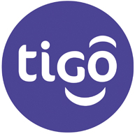 Digital Solutions and Channels Officer Job Opportunity at TIGO