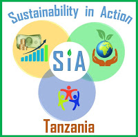 Program Associate Job Opportunity at Sustainability in Action 2021