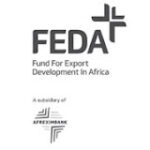 Chief Executive Officer New Job Opportunity at FEDA 2021