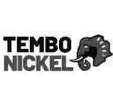 Procurement & Local Content Specialist Job at Tembo Nickel Corporation Limited