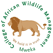 New Jobs at The College of African Wildlife Management (CAWM)
