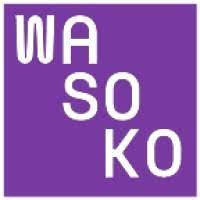 Country Product Manager Job at Wasoko
