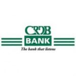 HR Business Partner Job at CRDB Bank Plc
