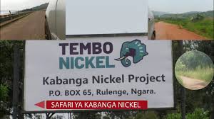 Corporate Communications Manager Job at Tembo Nickel