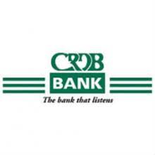 Senior Manager Diaspora Banking Job at CRDB