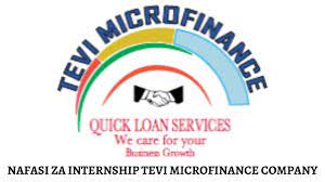 Loan Officer Group Lending Job at TEVI Microfinance Company