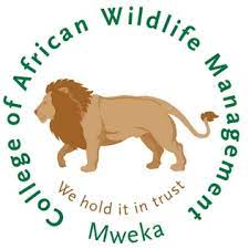 New Jobs at College of African Wildlife Management Mweka