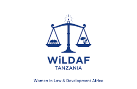 Procurement Officer Job at WiLDAF Tanzania