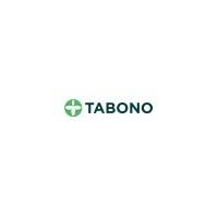 Senior Software Developer Job at Tabono Consult